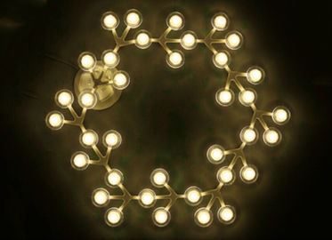 17 প্রভা LED নিট সার্কেল উষ্ঞ হোয়াইট LED সঙ্গে ঝুলন্ত সিলিং প্রভা